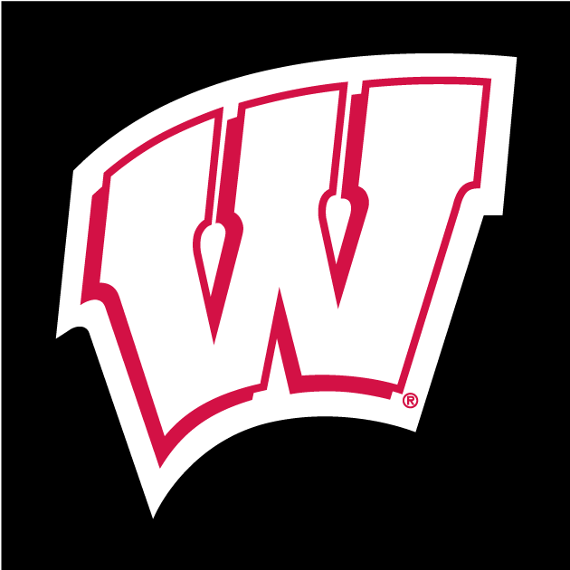 Wisconsin Badgers 1991-Pres Alternate Logo iron on transfers for fabric